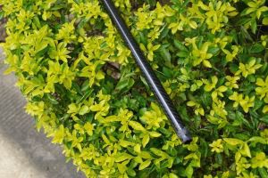 Lujat 10 * 8mm epoksi hiilikuitu putken/putkien